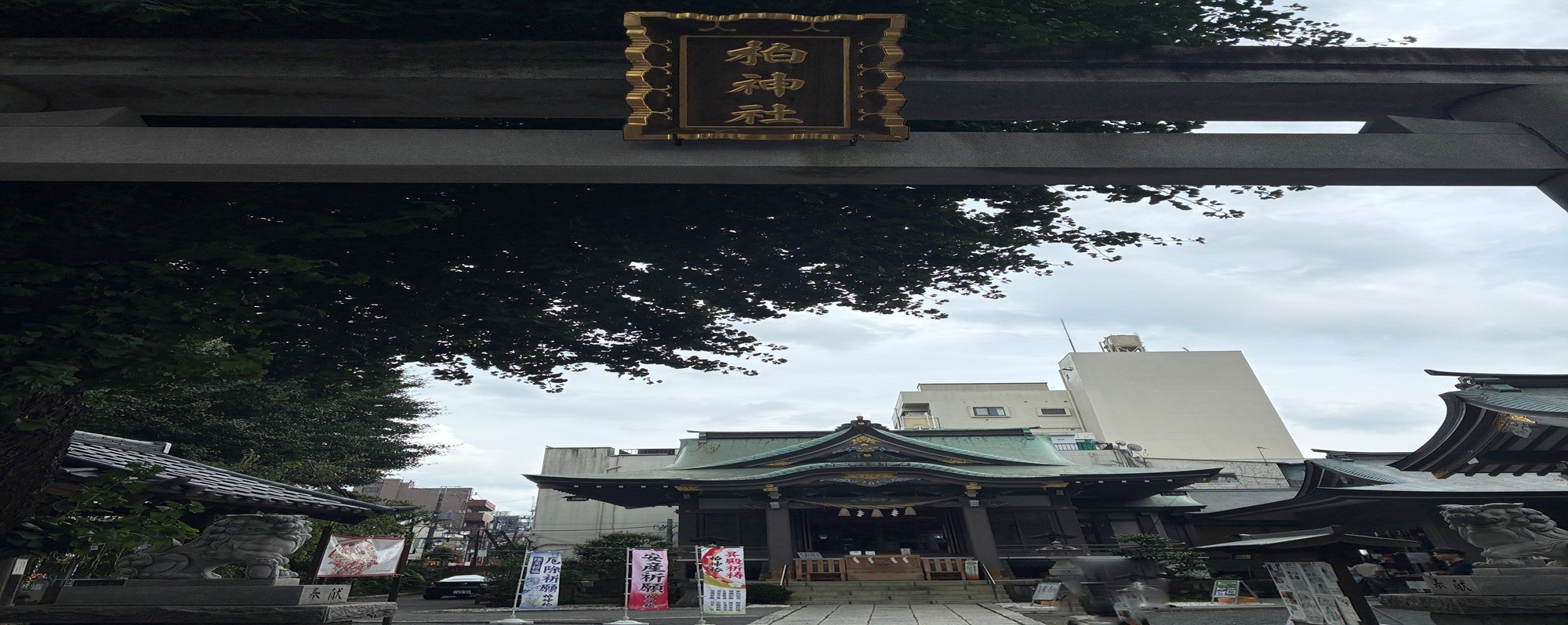 柏神社境内